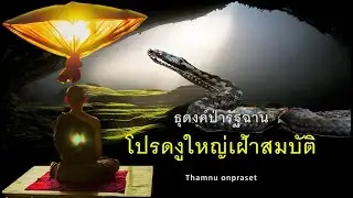 ๕.โปรดงูใหญ่เฝ้าสมบัติ ธุดงค์ป่ารัฐฉาน
