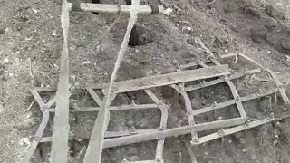 Как у нас сеют семена моркови.