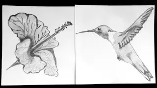 How To Draw Hummingbird & Hibiscus / 5 Minutes Art - Easy Drawing In Quarantine