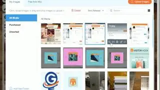 Visitor Hook | Wix