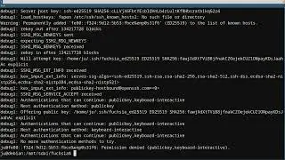 Google's Fuchsia OS: try to start shell