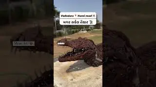 વડોદરા મા મગર નો સર્કલ બનાવવામા આવયુ 🐊👑      #vadodara #magarcircle #vishwamitririver #crocodile