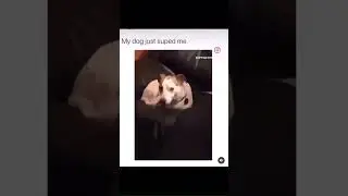 😂 Sup!? 
