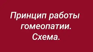 Принцип работы гомеопатии ☝️ На чём основан принцип действия гомеопатии? ☝️ Подробная информация.👍