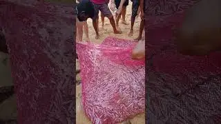 Рыбалка на Шри-Ланке 🎣 !!! 