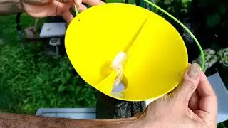 Trappola per catturare la Popillia Japonica - BIO - Feromone 8 Settimane - Senza Insetticidi