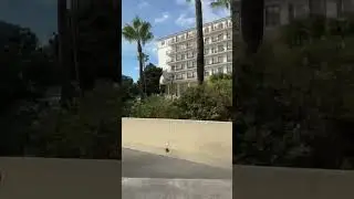 Іспанія 🇪🇸