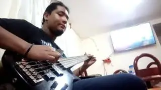 corazón solitario- bass cover