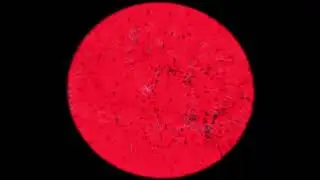 Trollge phonk All dimensions