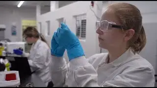 Eurofins BioPharma Product Testing: Largest Network of Harmonized GMP Product Testing Labs Worldwide