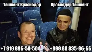 Краснодар Ташкент автобус, Ташкент Краснодар автобус, Ташкент Ростов-на-Дону автобус