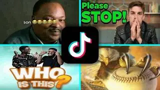 Finding The Origins of TikTok Stickers 2