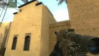 CS;S M21SIG550 COD4 SKINS