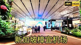 Singapore Changi Airport Transit Area Walking Tour | World's Best Airport EP2 | 4K HDR