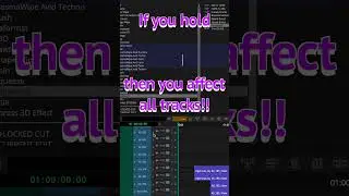 019 Alt+Option on timeline
