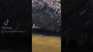 Політ у невідоме.