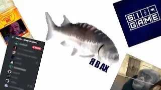 СВОЯК | СМЕХУ*ЧКИ