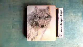 #22 Быстрый обзор: Карты Знания Духов Животных (Animal Spirits Knowledge Cards)