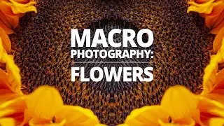Flower Photography with a macro flash 🌻