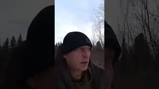 медведь вышел в город и что??? 🤔, он такой же житель планеты имеет полное право..