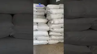 10 июня 2024 г.