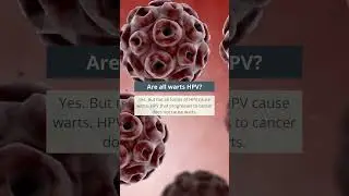 HPV, Cervical Cancer and Warts | 