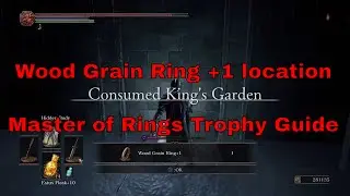 Dark Souls III - Wood Grain Ring +1 [Master of Rings Trophy]
