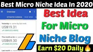Best Micro Niche Idea In 2020 | Micro Niche Website | Earn Money From Micro Niche Blog/Website 2020