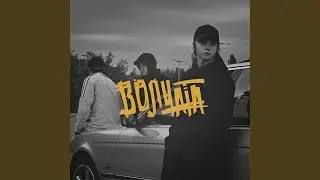 Волчата