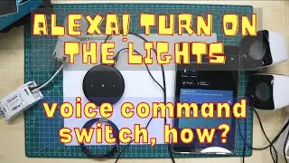 (Alexa+SonOff) Voice controlled switches, How to make?