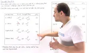 Ionizable Amino Acids