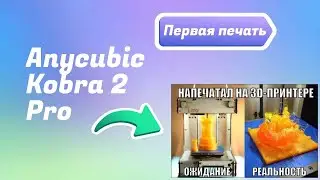 Anycubic Kobra 2 Pro, первая печать на 3D принтере