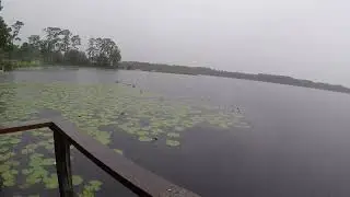 Hurricane Milton Closing In