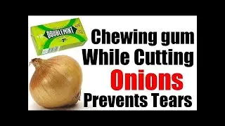 50 The Most RANDOM Facts Ever - 2021