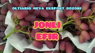 ОЛТИАРИҚ МЕВА ЭКСПОРТ БОЗОРИ .2024.1026