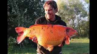 Karpervissen op Le Grand Etang/ Carpfishing on Le Grand Etang 2021