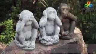 Звезды клуба Альянс