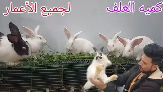 كميه العلف للارانب الصغيره والكبيرة العشاااار واللى بتر...ضع