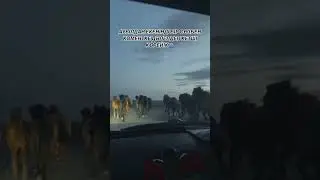 Кой келiп жаткан да негып футбол ойнап журсiн Кайтсай уйге 😂😂😂 #актобе#ауыл#омiр#кызык