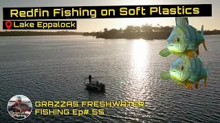 Fishing for Redfin on Soft Plastics | Lake Eppalock