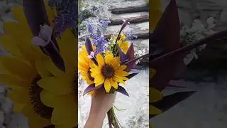 I have big flower goals ✨🌱💚 #simplicity #pollinatetheplanet