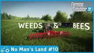 No Man's Land #10 FS22 Timelapse Removing Weeds, Building a Beehive, Making Hay Bales & Forestry