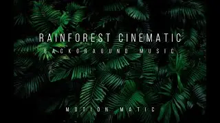 Rain-forest cinematic Background Music [Free Download]