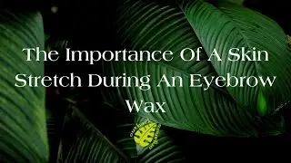 The Importance Of A Skin Stretch During An Eyebrow Wax #waxing #waxingtips #hairremoval