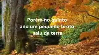 A MELHOR MENSAGEM SÁBIA