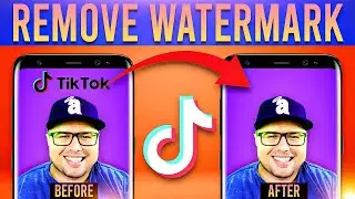 How To Download TikTok Video Without Watermark? TikTok Secrets You Must Know