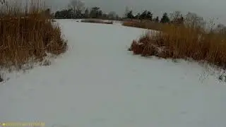 29.01.2022г. г.Северодонецк. Парковое озеро.