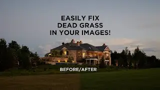 Add Color to Dead Grass Easily in Photoshop!