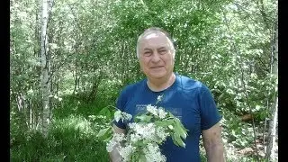 Доктор Синяков:  И снова об аутоиммунных заболеваниях