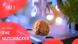 Iris Dynamics' Nutcracker